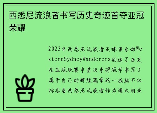 西悉尼流浪者书写历史奇迹首夺亚冠荣耀 西悉尼流浪者书写历史奇迹首夺亚冠荣耀
